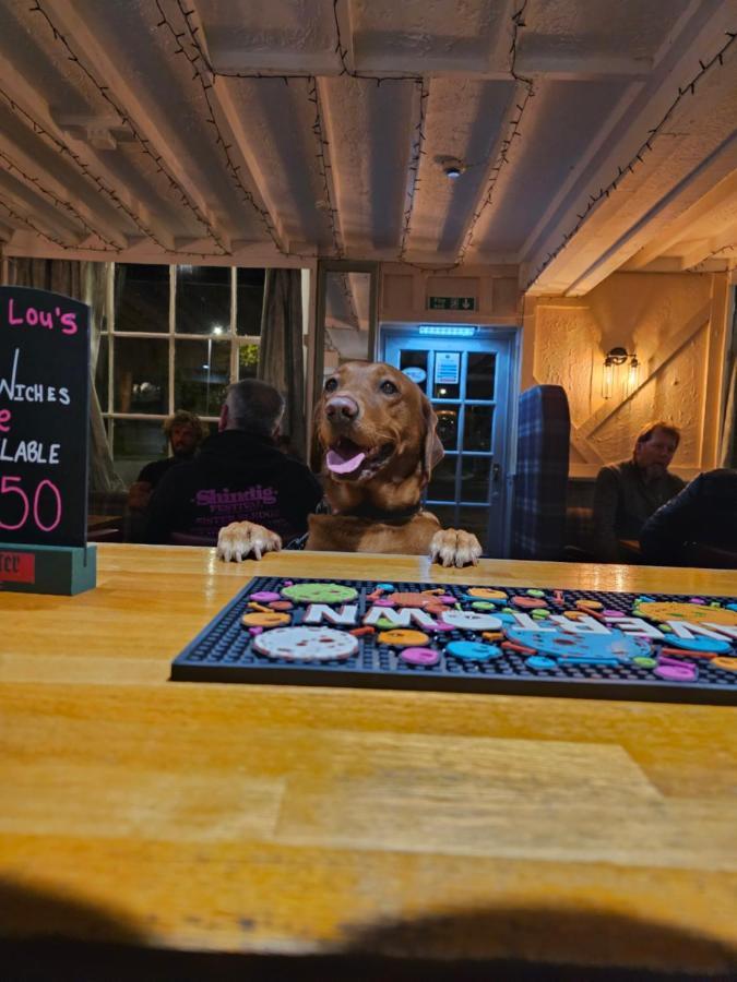 Dog And Partridge Inn Calne Dış mekan fotoğraf